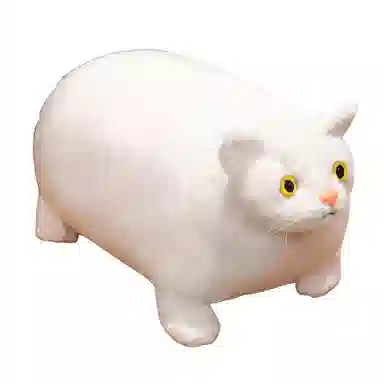 30cm50cm