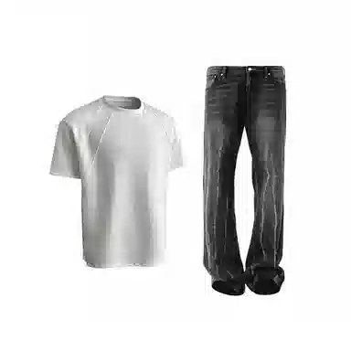 Evil lions cleanfitT