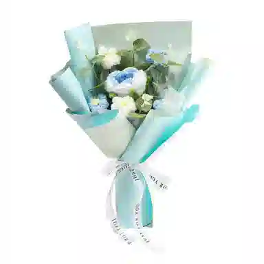 欧洛伊 手工钩织编织花朵 手捧花针织毛线花 玩具