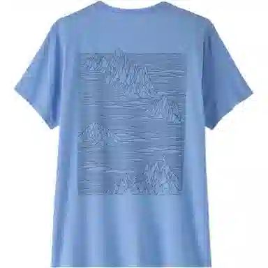patagonia T