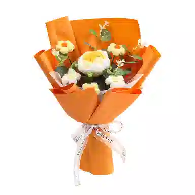 欧洛伊 手工钩织编织花朵 手捧花针织毛线花 玩具