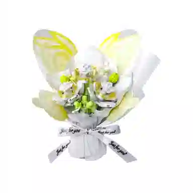 DIY 0-300pcs OLY-WJJcM-580