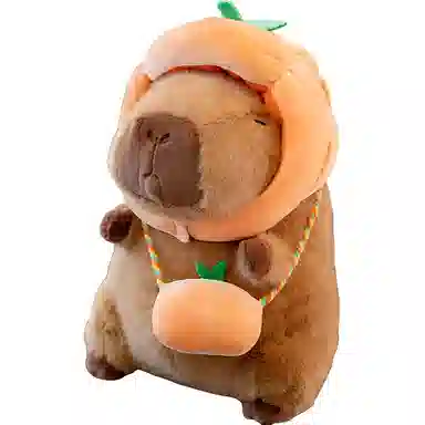 25cm 35cm