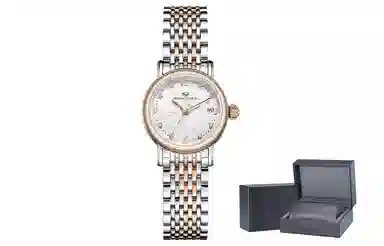 Sea-Gull 317.17.1074L