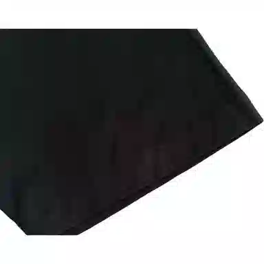 Dickies T