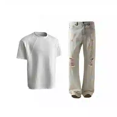 Evil lions cleanfitT