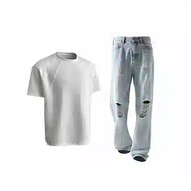 Evil lions cleanfitT