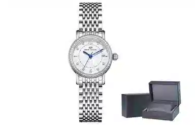 Sea-Gull 317.17.1074L