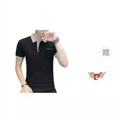 PIERRE CARDIN Polo