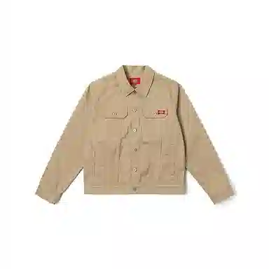 Dickies DK0A889P