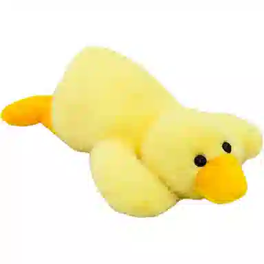 AECELI 19cm
