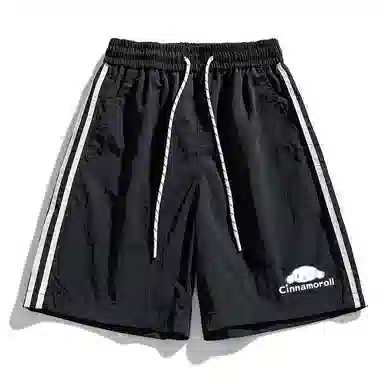 Sanrio x CINNAMOROLL