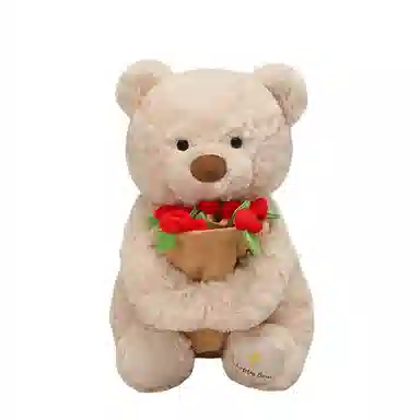 lionf 25cm38cm