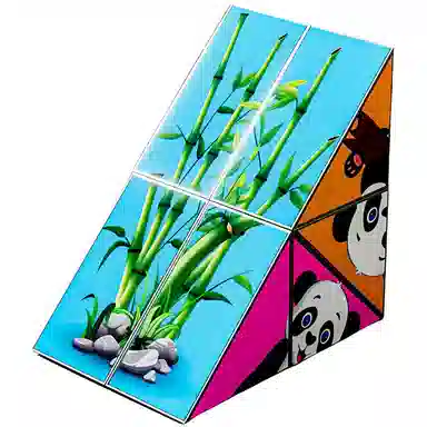 SNAEN 3D