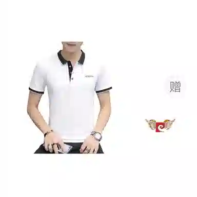 PIERRE CARDIN Polo