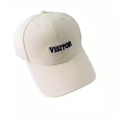 VISI