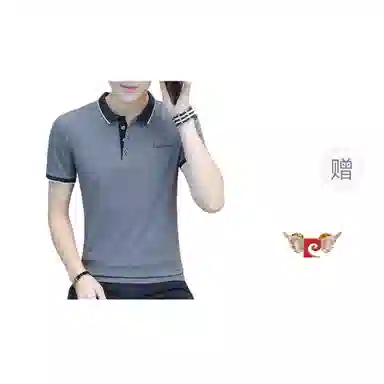 PIERRE CARDIN Polo