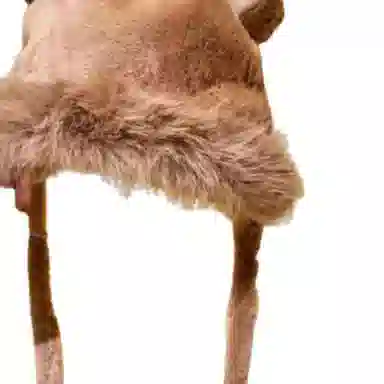 KKV