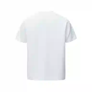 IE logoT