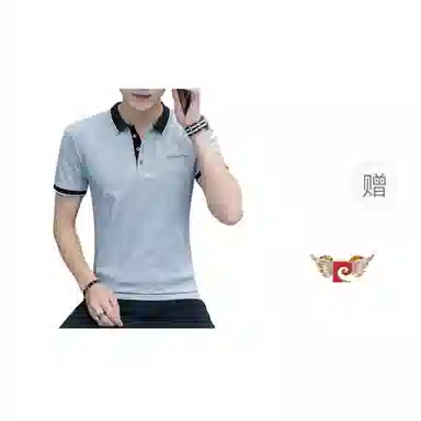 PIERRE CARDIN Polo