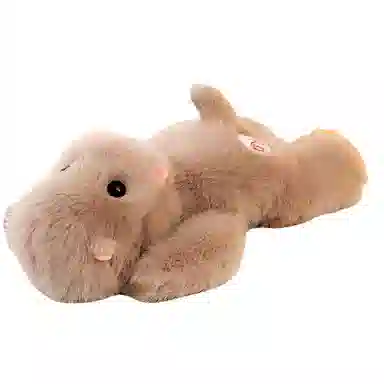 AECELI 19cm