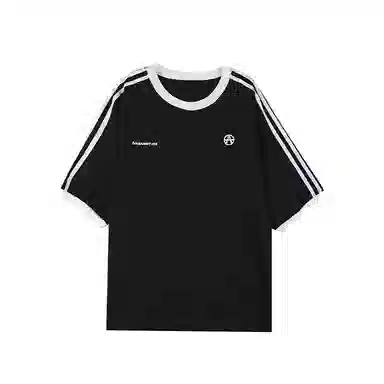 Acupuncture T