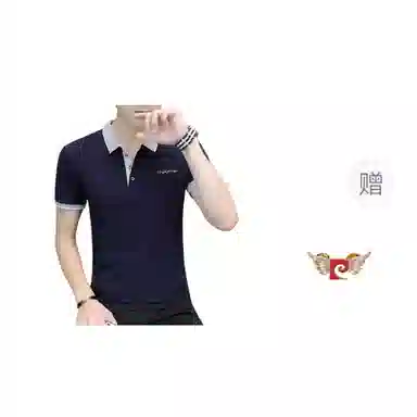 PIERRE CARDIN Polo