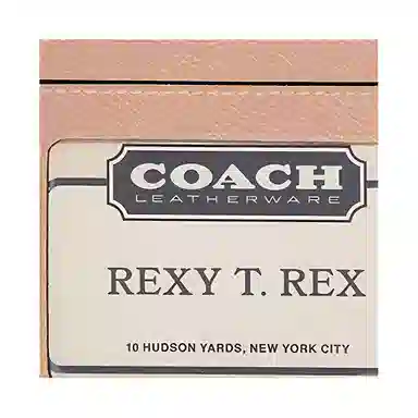 COACH Skinny Id Case 11 Silver Yellow