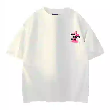 PAUL COSTELLOE T