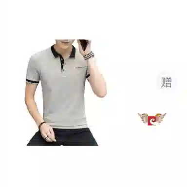 PIERRE CARDIN Polo
