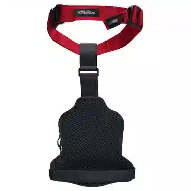 ALPINESTARSACCESS 21*17*4(cm)