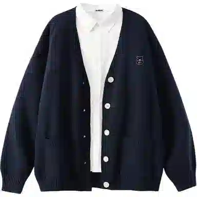 BRUMAIRE V
