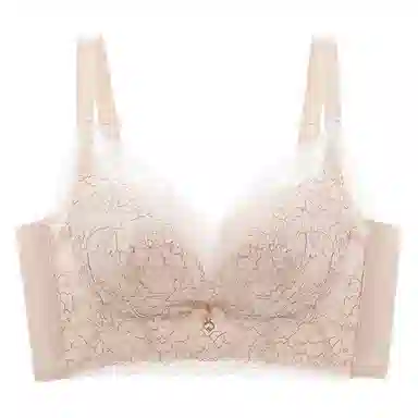 欧迪芬 透气蕾丝全包裹亲肤防下垂上托聚拢侧翼加高收副乳小胸显大文胸 女款