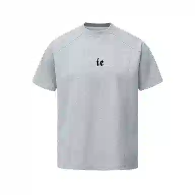 IE logoT