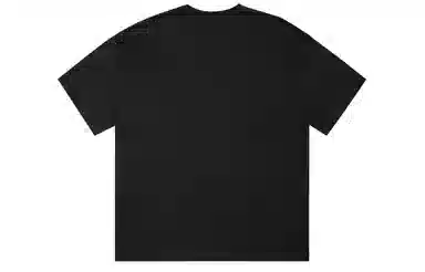 ICONS Lab ICS T