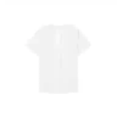 Discovery Expedition T