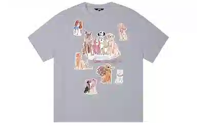 ICONS Lab ICS T