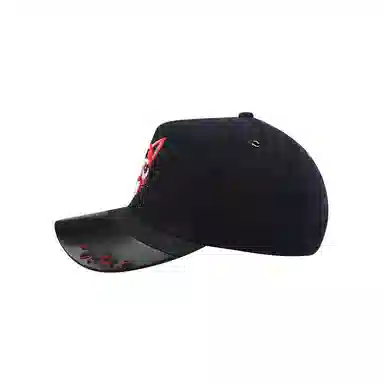 SWOFCARE Black Cat Embroidered Cap