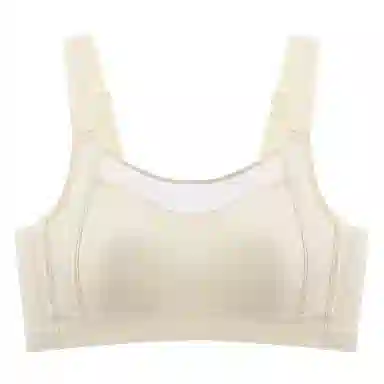 欧迪芬 大胸显小轻薄透气亲肤蕾丝柔软上托聚拢防下垂收副乳文胸 女款