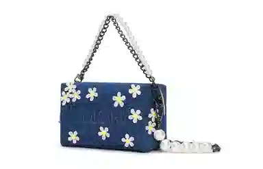 DIOR 811 15*9*11cm