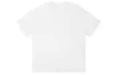 ICONS Lab ICS T