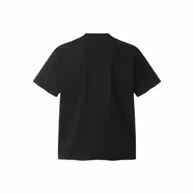 songlan T