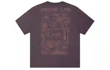ICONS Lab ICS T