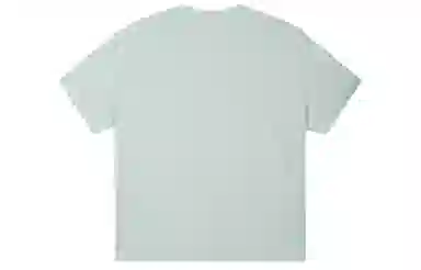 ICONS Lab ICS T