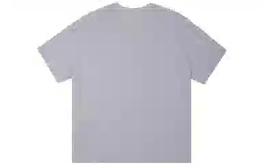 ICONS Lab ICS T