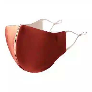 浙锦 真丝立体防晒防紫外线防风防尘高颜值 桑蚕丝 口罩 女款