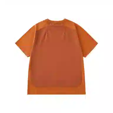 norybrand T