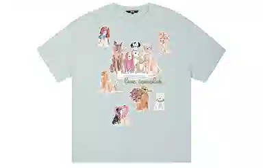 ICONS Lab ICS T