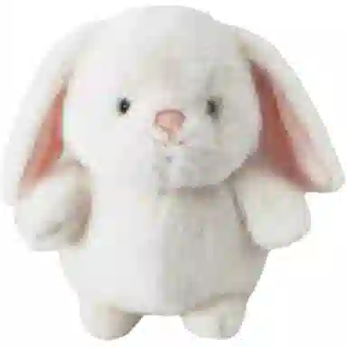 KKV 25cm38cm