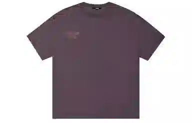 ICONS Lab ICS T